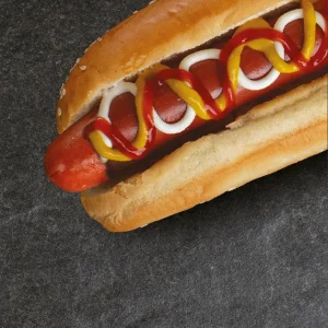 Hotzilla Básico