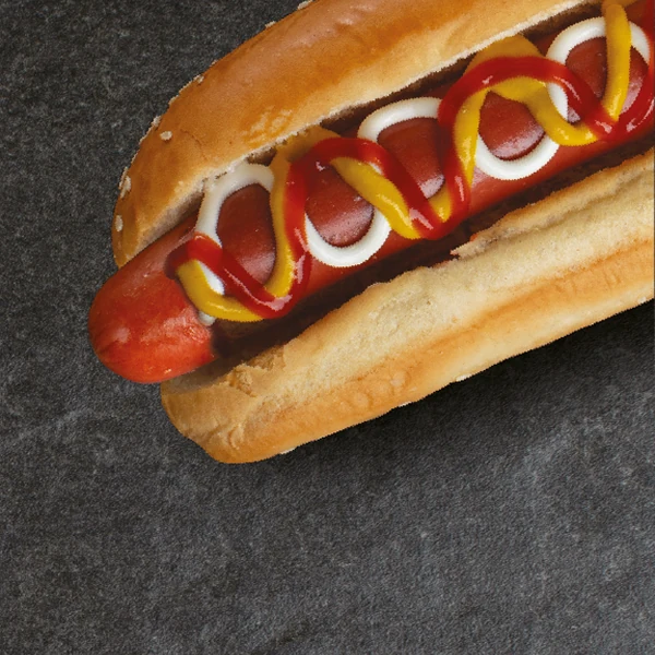 Hotzilla Básico